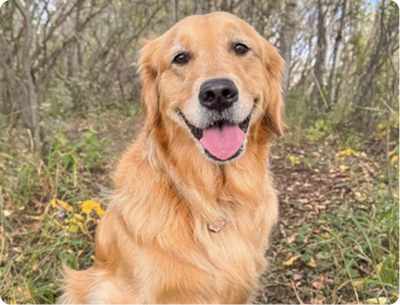 Before - Jennifer L.